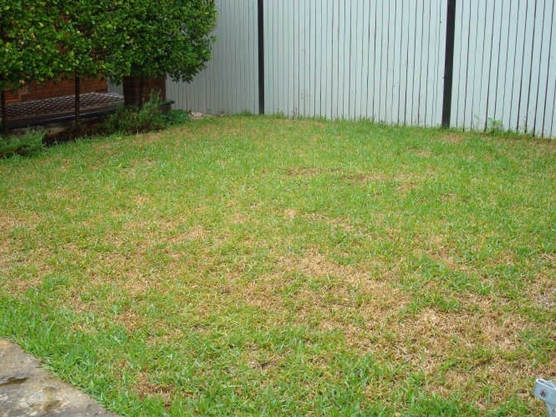 259 Ben Boyd Rd, Neutral Bay NSW 2089