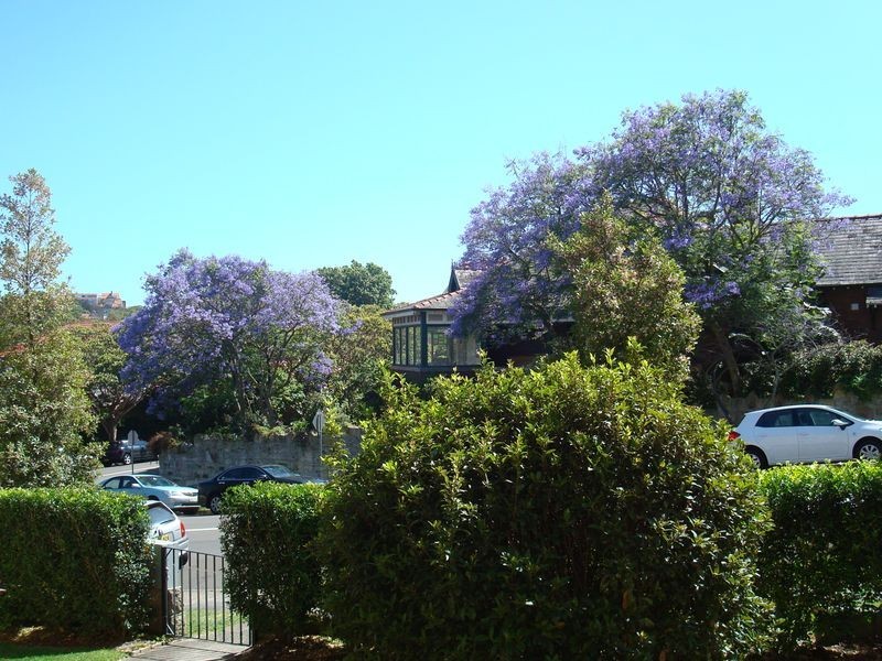 4/67 Shadforth Street, Mosman NSW 2088