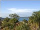 9/824 Military Road, Mosman NSW 2088