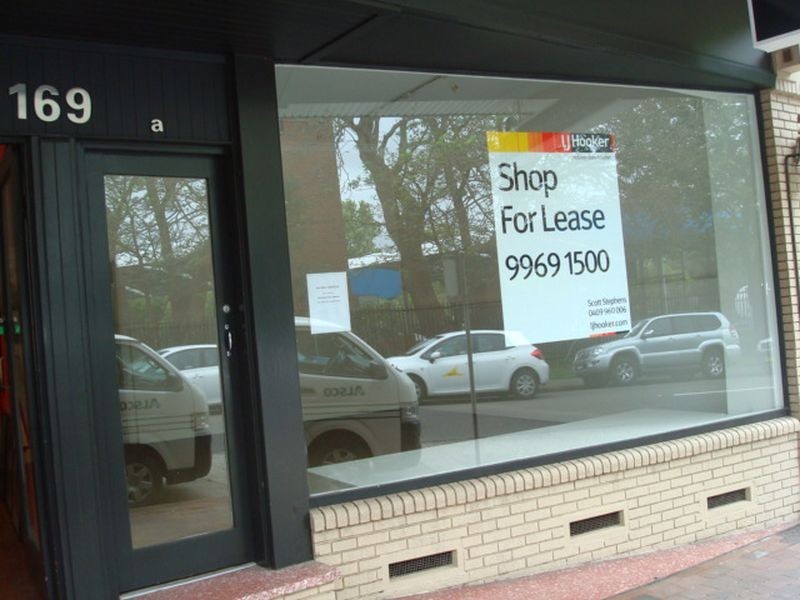 167 A & B Avenue Road, Mosman NSW 2088