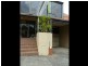 1/52 Ourimbah Road, Mosman NSW 2088