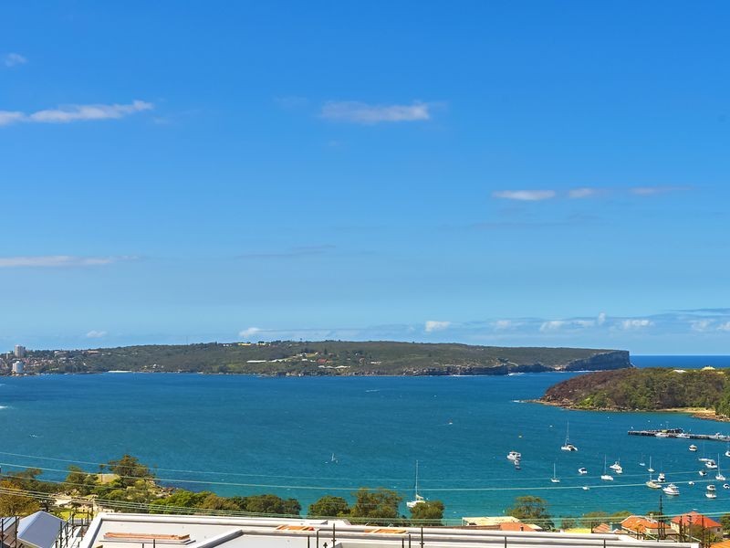 10 Arbutus Street, Mosman NSW 2088