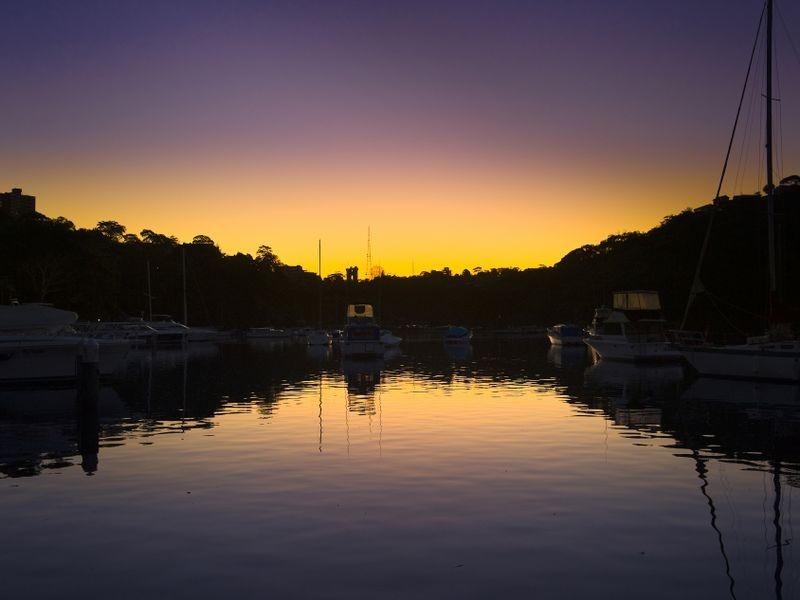 40 Cowdroy Avenue, Cammeray NSW 2062