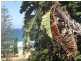 2/231 Whale Beach Road, Whale Beach NSW 2107