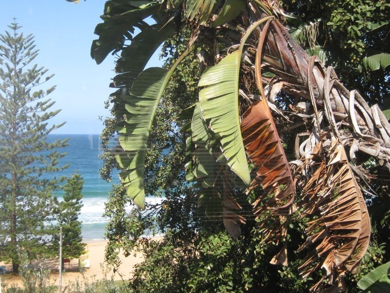 2/231 Whale Beach Road, Whale Beach NSW 2107
