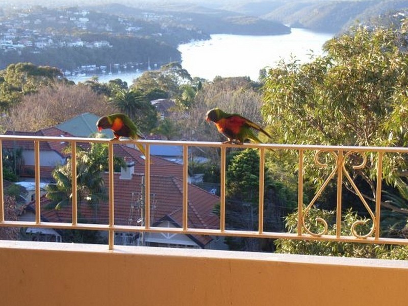 36/560 Military Road, Mosman NSW 2088