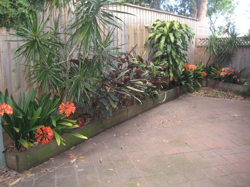 97b Bellevue Street, Cammeray NSW 2062