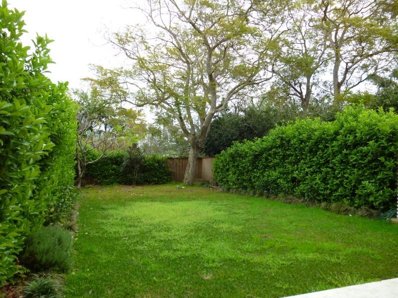 50 Raymond Road, Neutral Bay NSW 2089