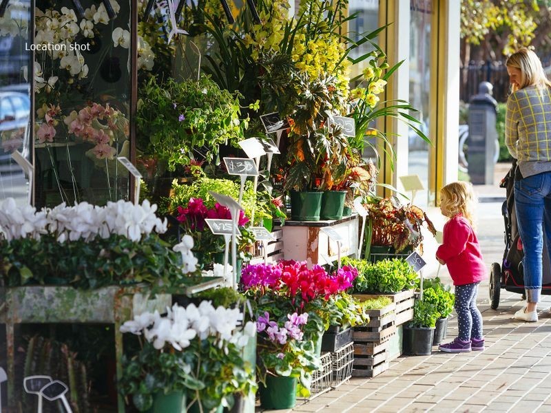 15/53 Spit Road, Mosman NSW 2088