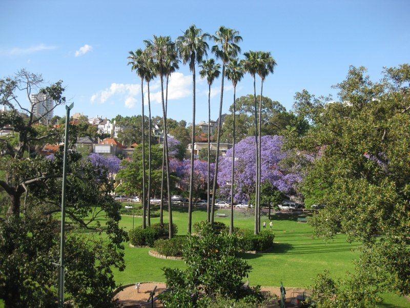 4/6 Bradly Avenue, Kirribilli NSW 2061