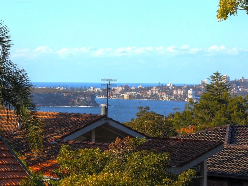 1/113 Middle Head Road, Mosman NSW 2088