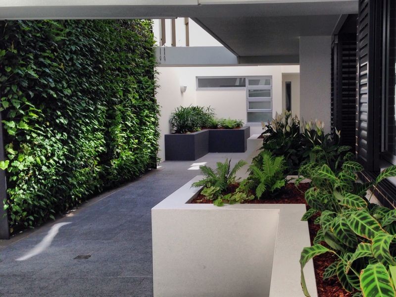 202/100 Glover Street, Mosman NSW 2088