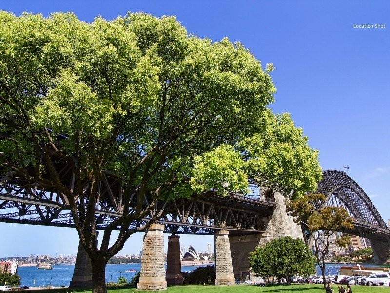 603/38 Alfred Street, Milsons Point NSW 2061