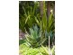 92a Prince Albert Street, Mosman NSW 2088