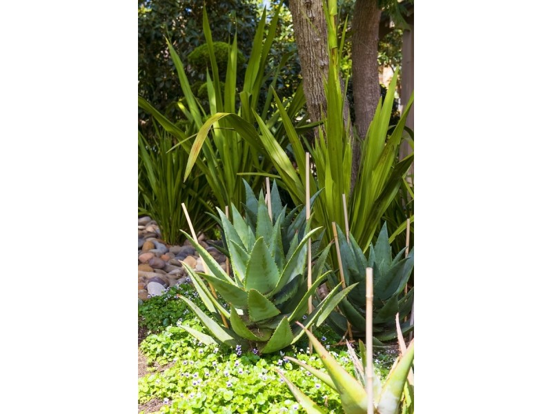 92a Prince Albert Street, Mosman NSW 2088