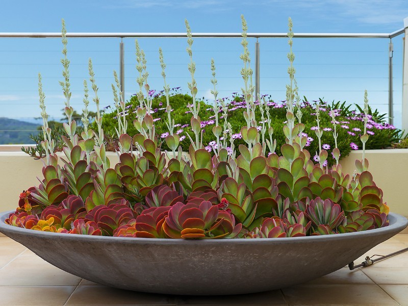 4/38 Parriwi Road, Mosman NSW 2088