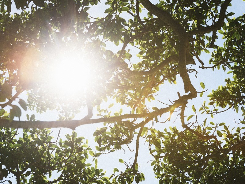 1 Musgrave Street, Mosman NSW 2088