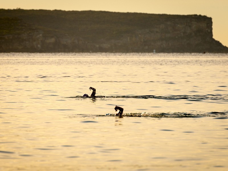 28 Muston Street, Mosman NSW 2088