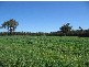 Yornup WA 6256