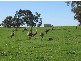 Yornup WA 6256