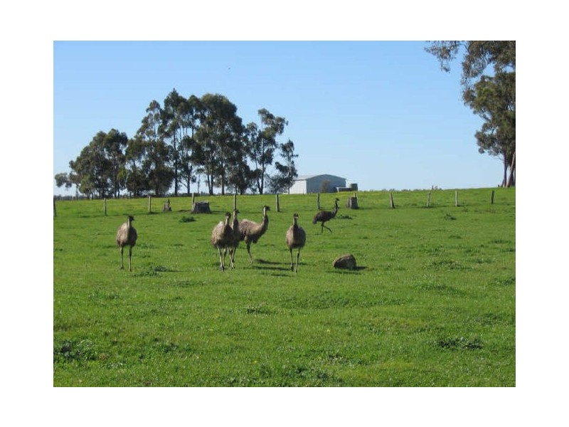 Yornup WA 6256