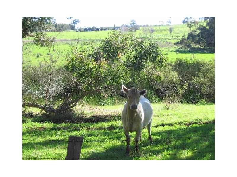 Yornup WA 6256