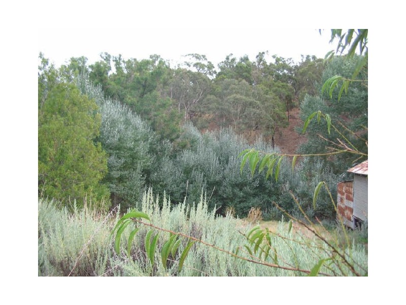 99 Hampton Street, Bridgetown WA 6255