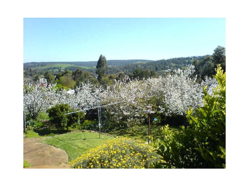 45 Barlee Street, Bridgetown WA 6255