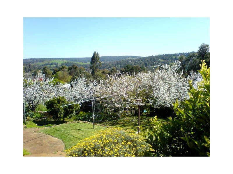 45 Barlee Street, Bridgetown WA 6255