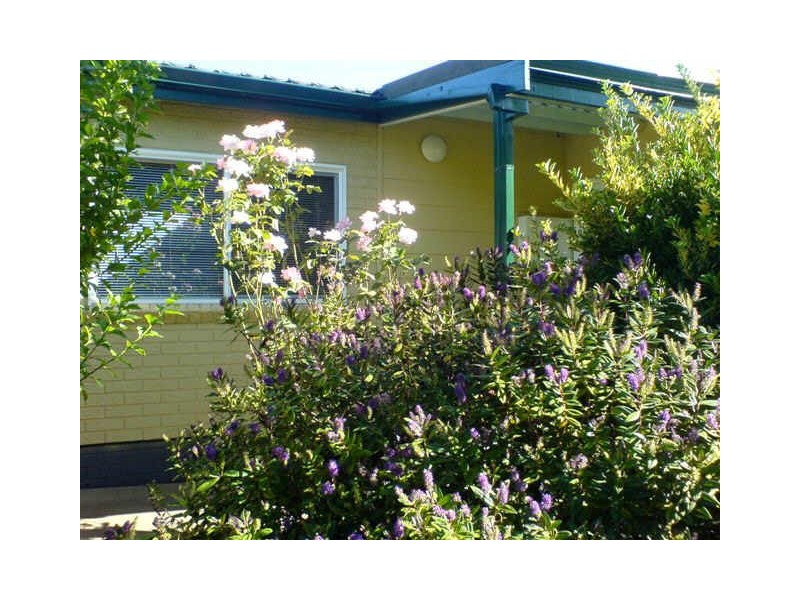 45 Barlee Street, Bridgetown WA 6255