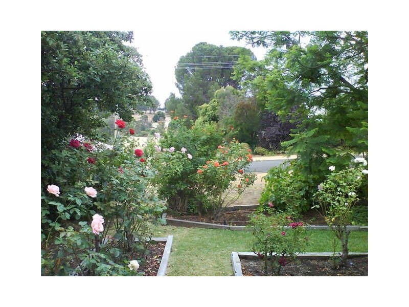 45 Barlee Street, Bridgetown WA 6255