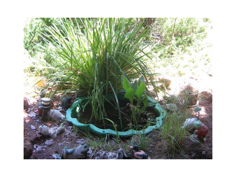 255 Hampton Street, Bridgetown WA 6255