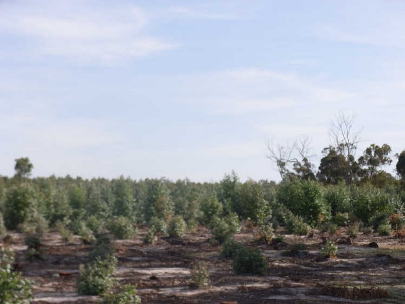 Lot 5140 Wheeler Road, Boyup Brook WA 6244