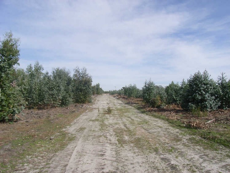 Lot 5140 Wheeler Road, Boyup Brook WA 6244