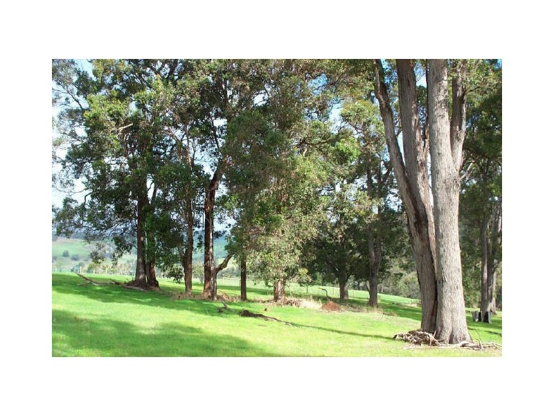 67 Balmoral Drive, Bridgetown WA 6255