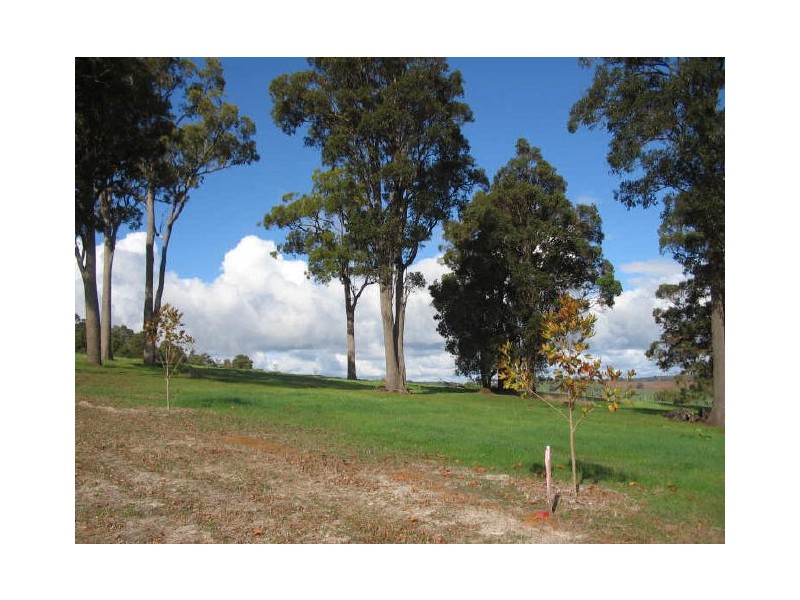 67 Balmoral Drive, Bridgetown WA 6255