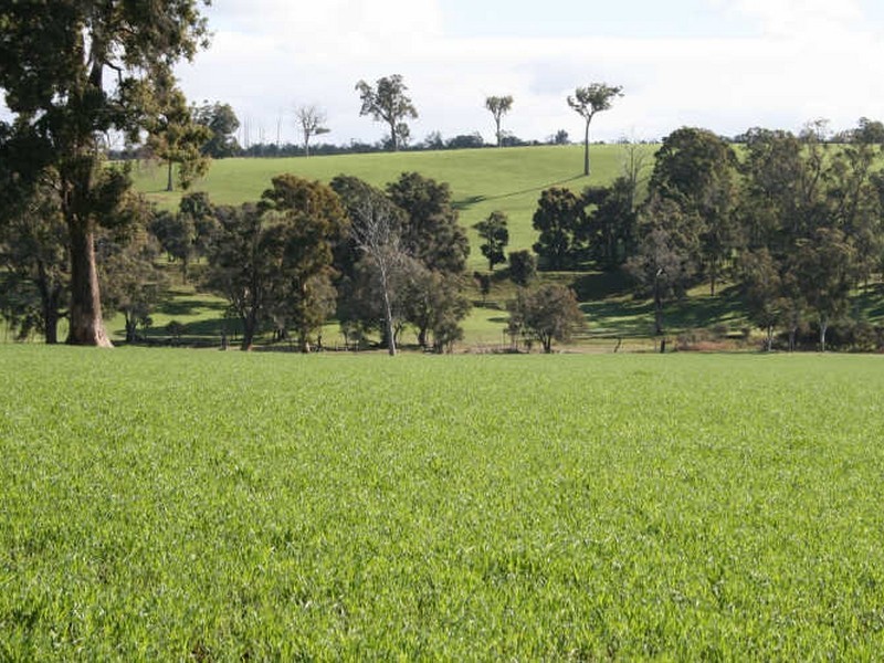 Lot 6 Greenfields Road, Boyup Brook WA 6244