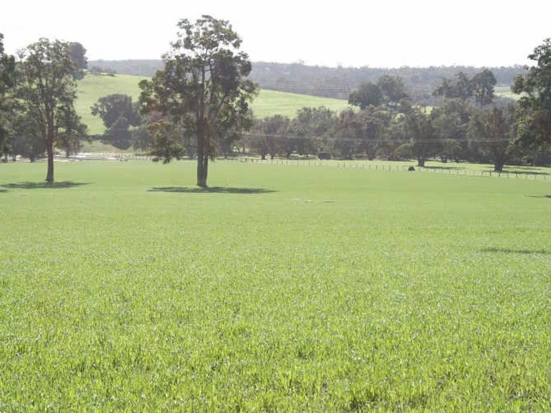 Lot 6 Greenfields Road, Boyup Brook WA 6244