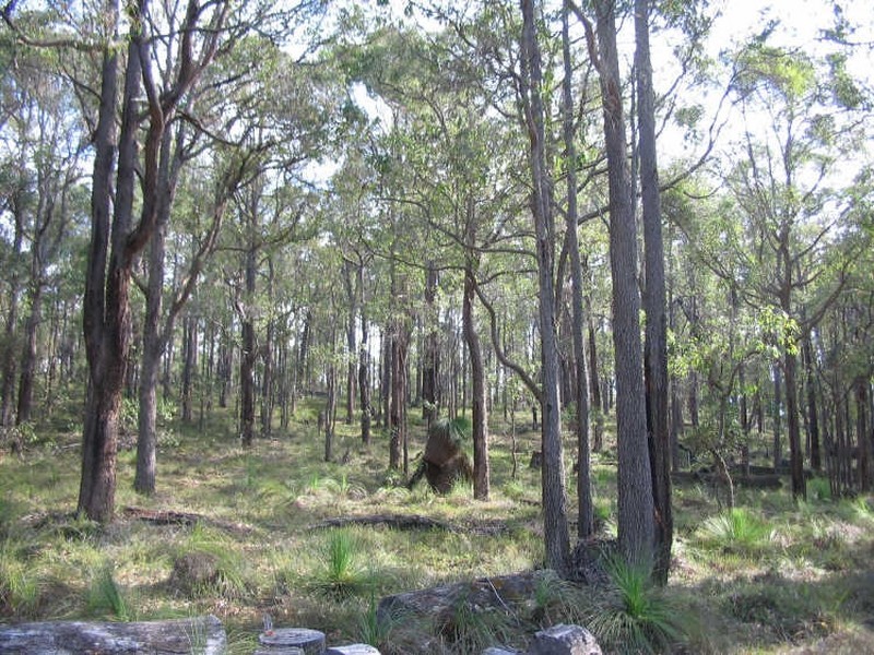 140 Smith Street, Greenbushes WA 6254