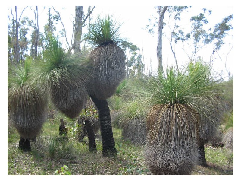 Lot 3 Westbourne Road, Boyup Brook WA 6244