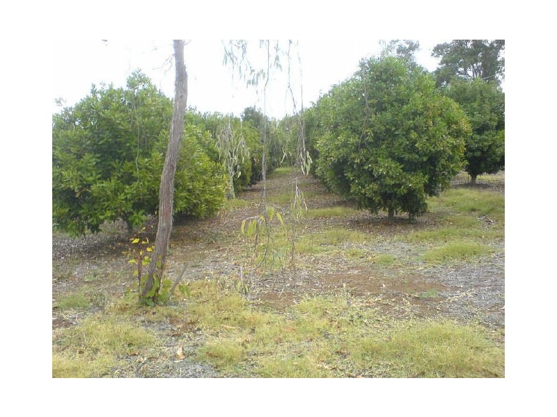 173 River Road, Bridgetown WA 6255