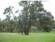 2368 Greenbushes-Boyup Brook Road, Greenbushes WA 6254