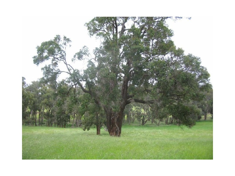 2368 Greenbushes-Boyup Brook Road, Greenbushes WA 6254
