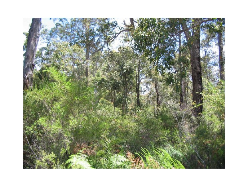 Lot 14 Karri Lane, Quinninup WA 6258