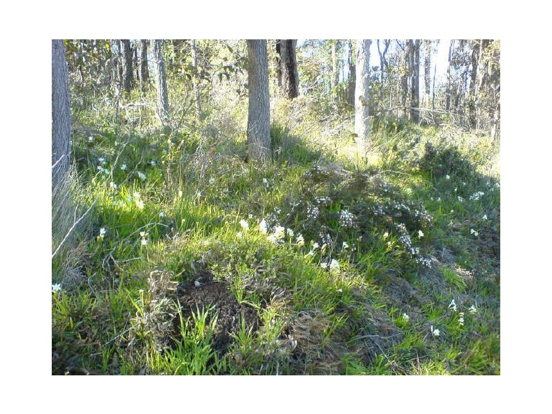 17 Giblett Road, Bridgetown WA 6255