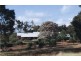 Lot 10 Harrison Road, Boyup Brook WA 6244