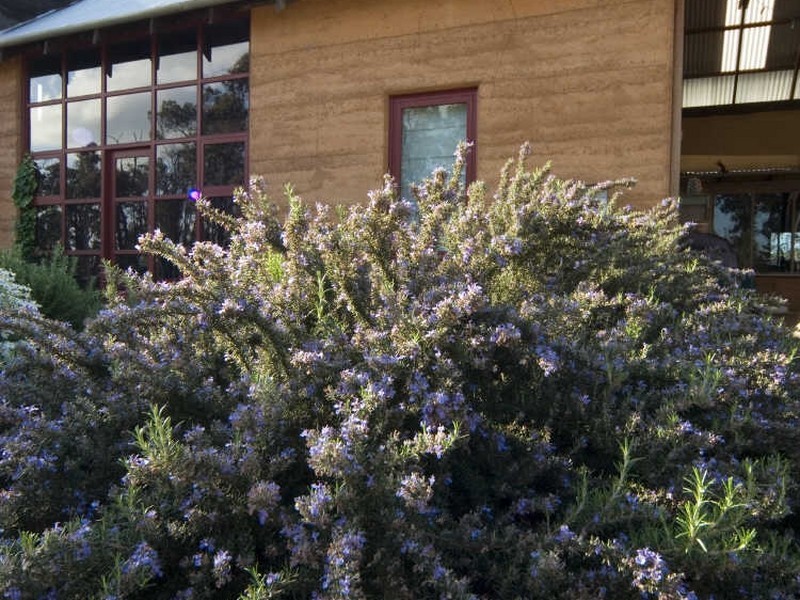 Lot 10 Harrison Road, Boyup Brook WA 6244