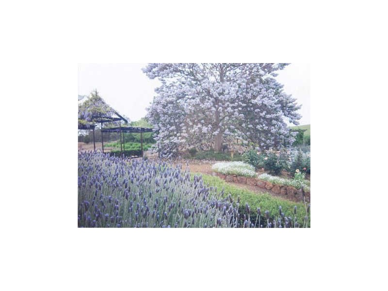 Lot 10 Harrison Road, Boyup Brook WA 6244