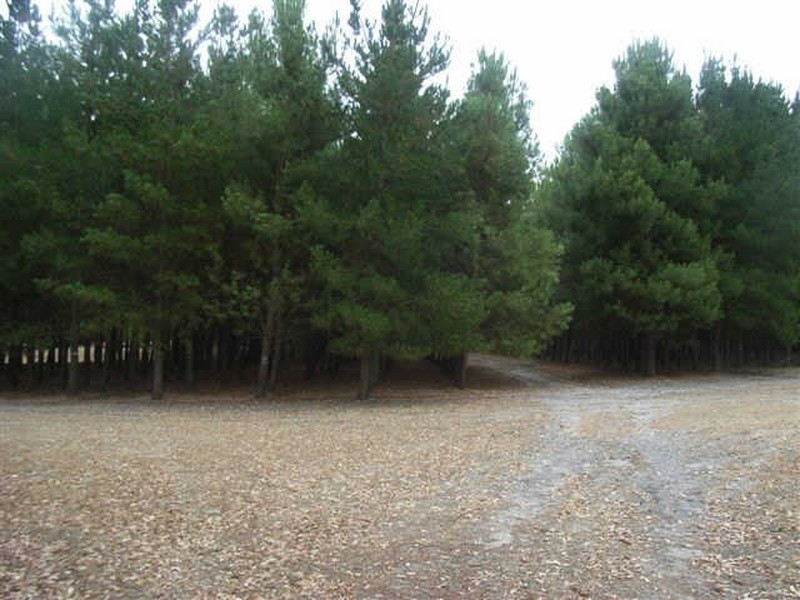 Lot 3749 Asplin Siding Road, Boyup Brook WA 6244