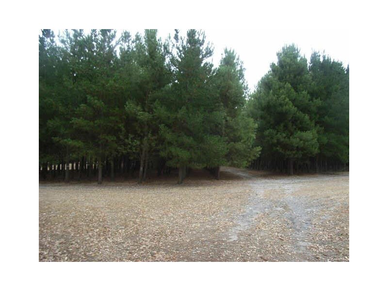 Lot 3749 Asplin Siding Road, Boyup Brook WA 6244